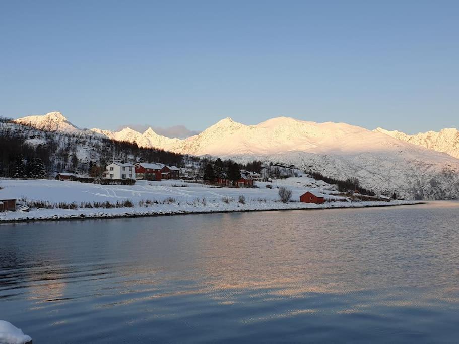 Traditional Farm House Located Close To Fjord Lyngseidet Eksteriør billede