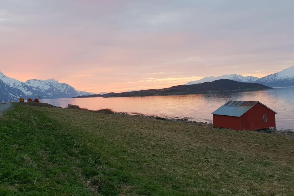 Traditional Farm House Located Close To Fjord Lyngseidet Eksteriør billede