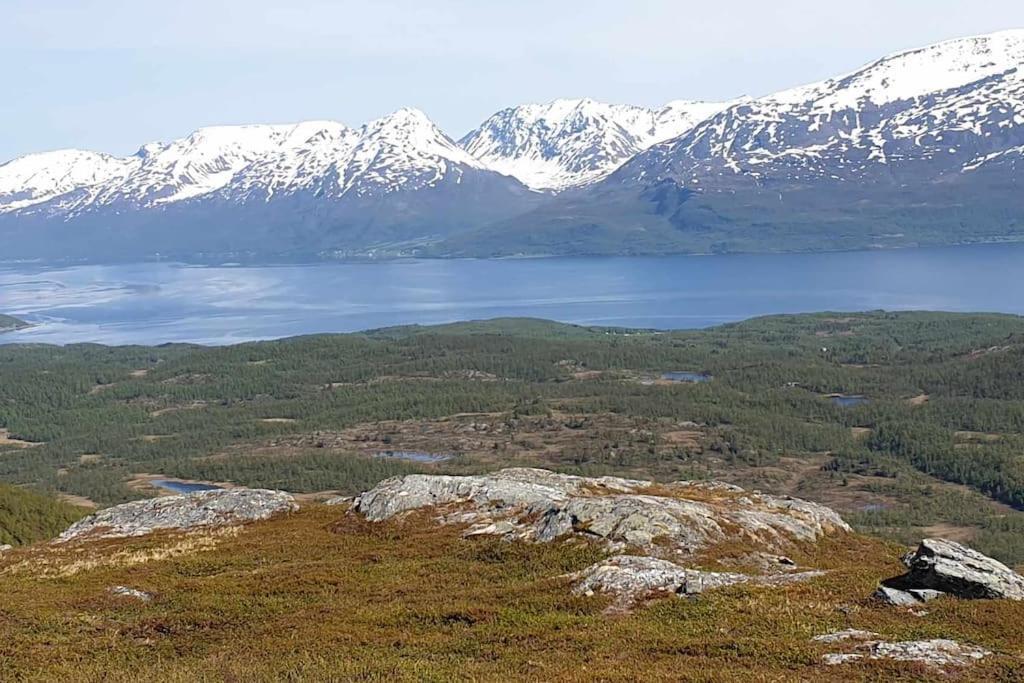 Traditional Farm House Located Close To Fjord Lyngseidet Eksteriør billede