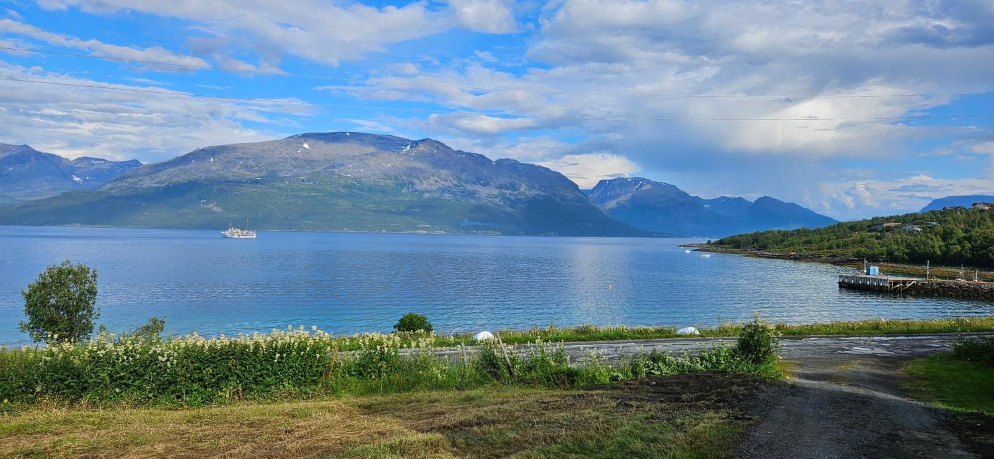 Traditional Farm House Located Close To Fjord Lyngseidet Eksteriør billede